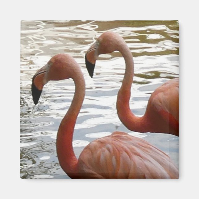 Tropical Flamingo Birds Magnet (Vorne)