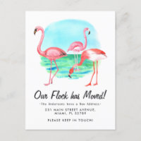 Tropical Flamingo Flock Moved New Address Moving