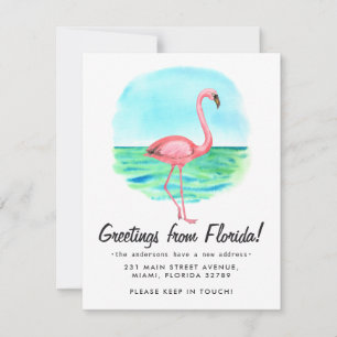 Tropical Flamingo Moved New Address Florida Moving Ankündigung