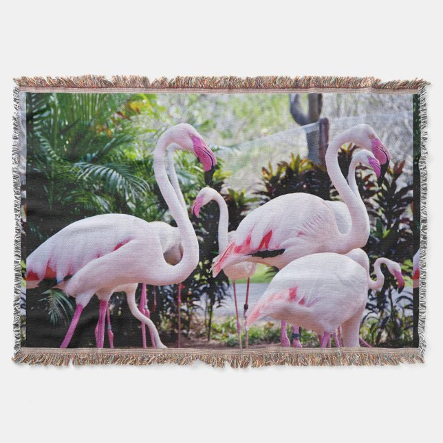 Tropical Flamingo-Paradies-Decke Decke (“Bring the tropics home with these graceful flamingos.”)