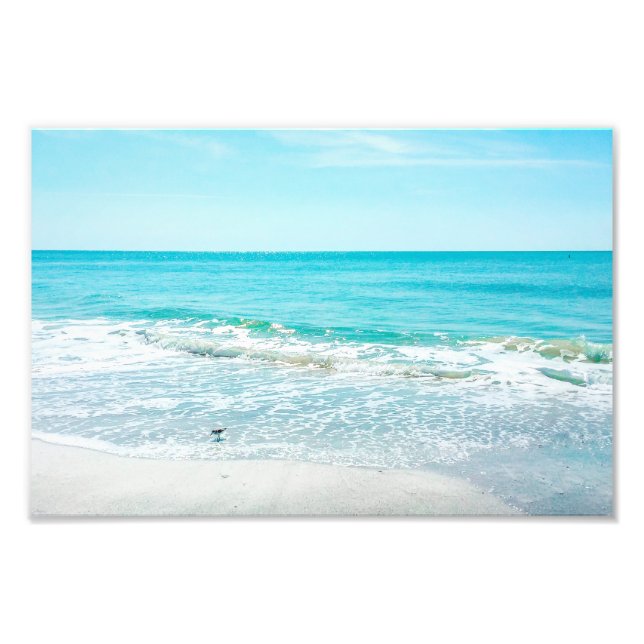 Tropical Florida Beach Sand Ocean Waves Sandpiper Fotodruck (Vorne)