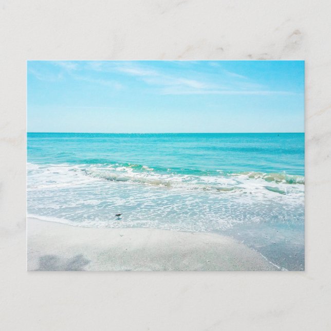 Tropical Florida Beach Sand Ocean Waves Sandpiper Postkarte (Vorderseite)
