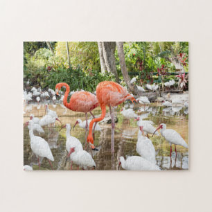 Tropical Florida Pink Flamingos Landschaftlich Puzzle