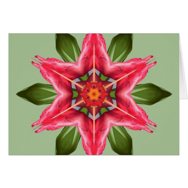 Tropical Flower (Vorderseite (Horizontal))