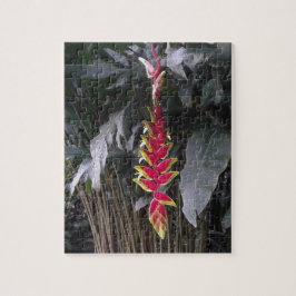 Tropical Flower Puzzle