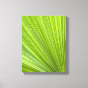 Tropical Green Palm Frond Leinwanddruck