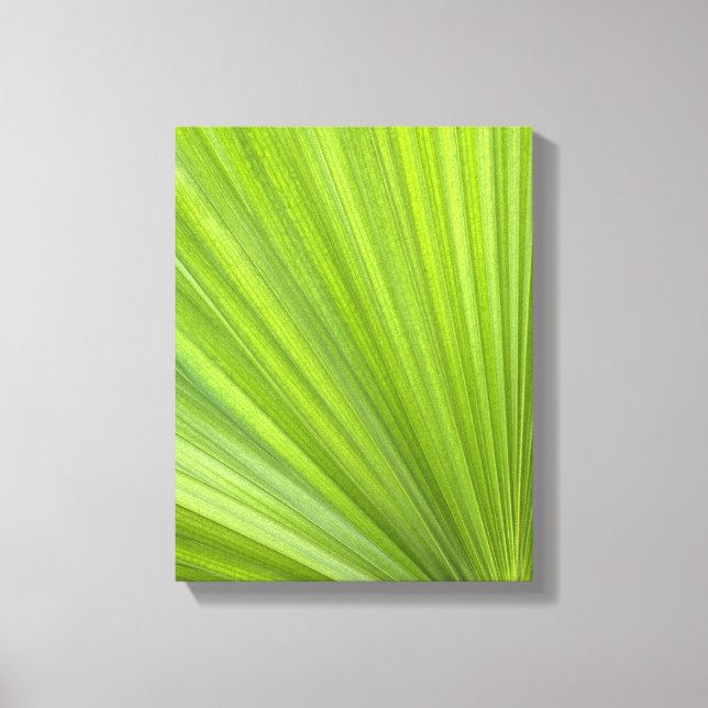 Tropical Green Palm Frond Leinwanddruck (Vorderseite)