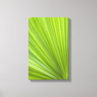 Tropical Green Palm Frond Leinwanddruck
