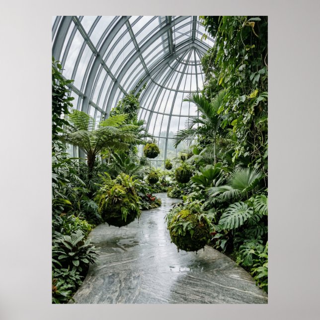 Tropical Greenhouse Jungle Path Poster (Vorne)