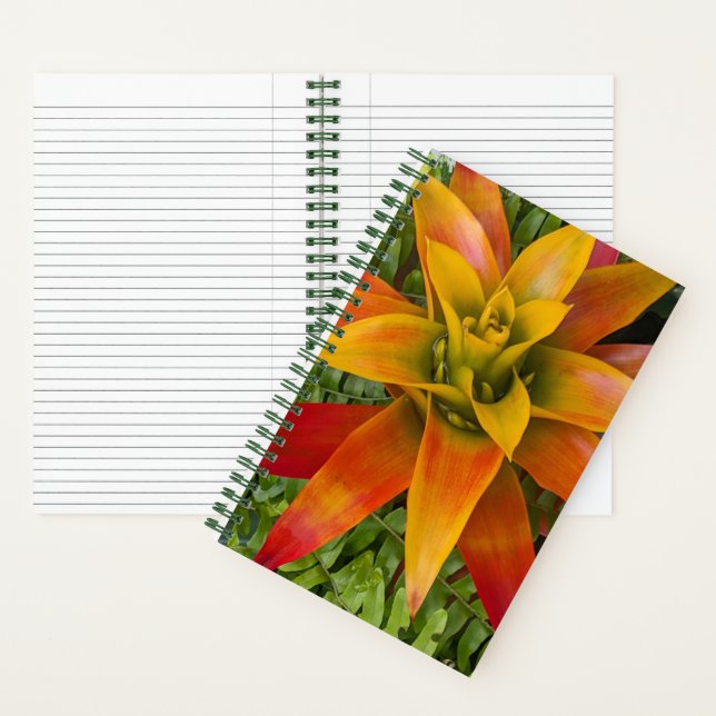 Tropical Guzmania Plant Floral Notizbuch (Innen)