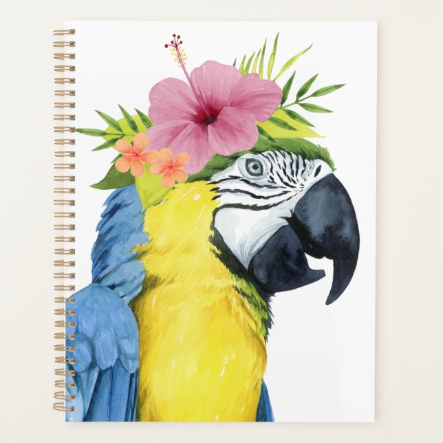 Tropical Halo - Papagei Planer (Vorderseite)