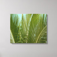 Tropical Hawaii Palm Tree