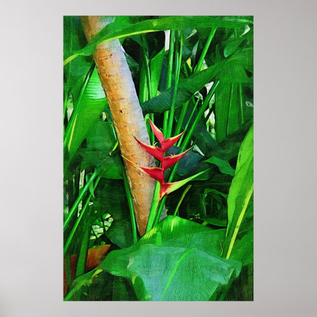 Tropical Heliconia - Spaziergang im Garten Poster (Vorne)