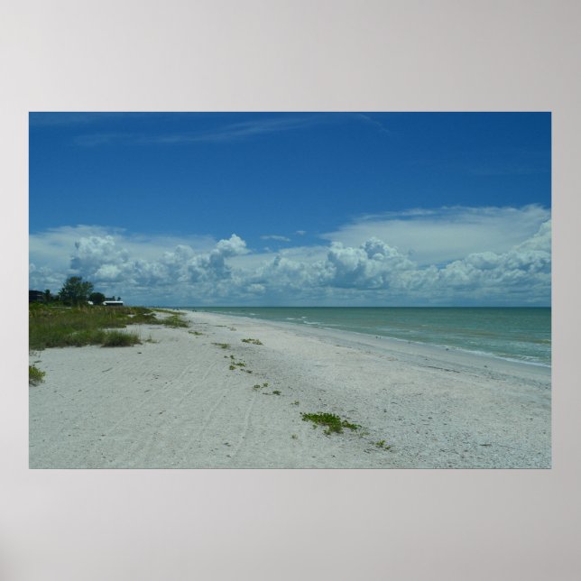 Tropical Island Beach Foto Sanibel Florida Poster (Vorne)