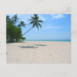Tropical Island Beach, Seychellen) Postkarte