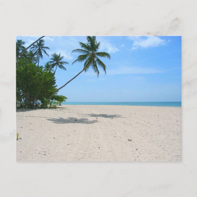 Tropical Island Beach, Seychellen) Postkarte (Vorderseite)