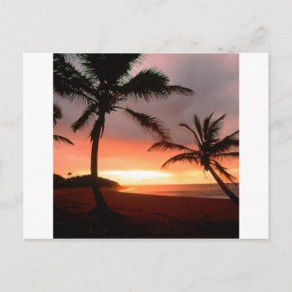 Tropical Island Palms Dominikanische Republik Postkarte