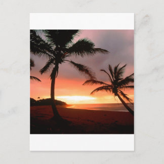 Tropical Island Palms Dominikanische Republik Postkarte