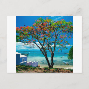 Tropical Island Tropical Escape Bahamas Postkarte