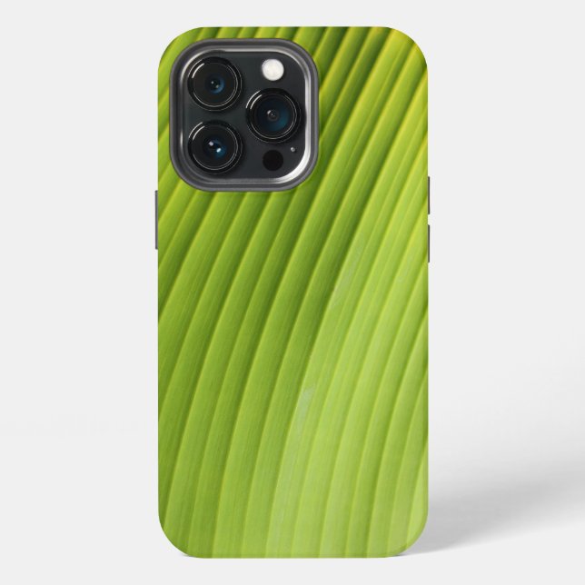 Tropical Leaf Nahaufnahme Case-Mate iPhone-Hülle iPhone Hülle (Hinten)