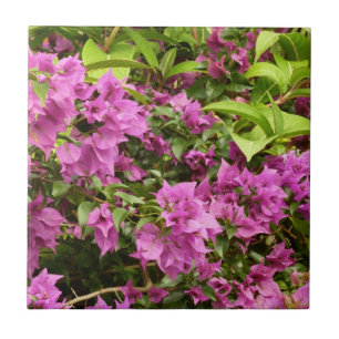 Tropical Lila Bougainvillea Floral Fliese