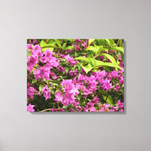 Tropical Lila Bougainvillea Floral Leinwanddruck