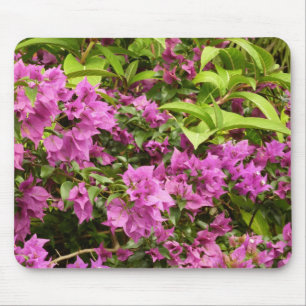 Tropical Lila Bougainvillea Floral Mousepad