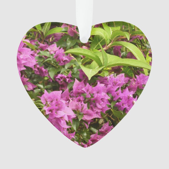 Tropical Lila Bougainvillea Floral Ornament (Vorderseite)