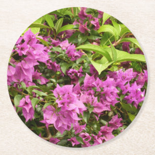 Tropical Lila Bougainvillea Floral Runder Pappuntersetzer