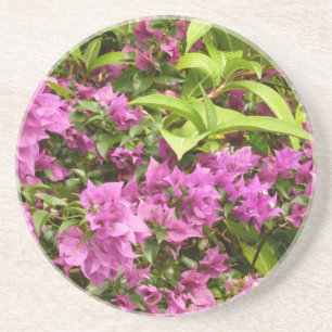 Tropical Lila Bougainvillea Floral Sandstein Untersetzer