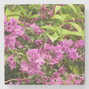 Tropical Lila Bougainvillea Floral Steinuntersetzer