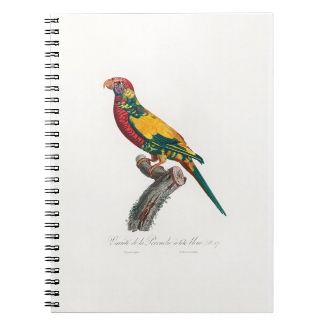 tropical macaw parrot notizblock (Vorderseite)