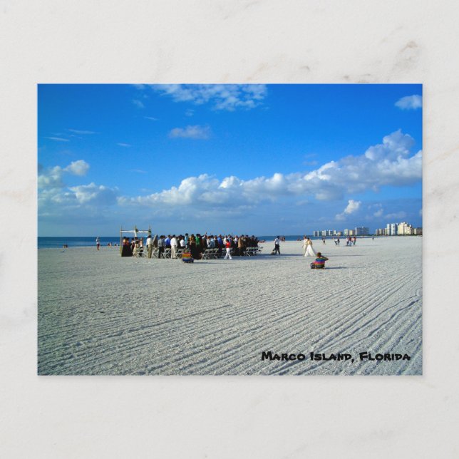 Tropical Marco Island Florida - Eine Hochzeit am S Postkarte (Vorderseite)