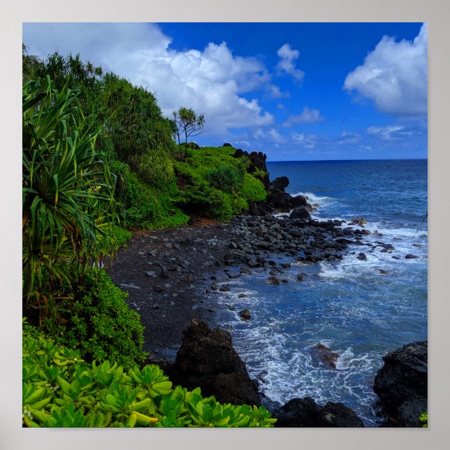 Tropical Maui Hawaiian Island Beach Poster (Vorne)