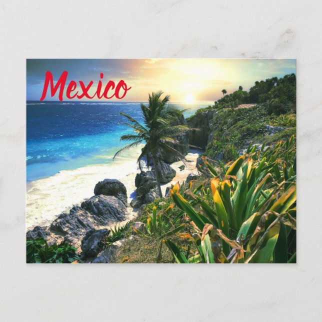 Tropical Mexico Beach Shore Sunset Palm Island Postkarte (Vorderseite)