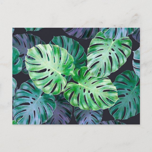 Tropical Monstera Blätter Postkarte (Vorderseite)