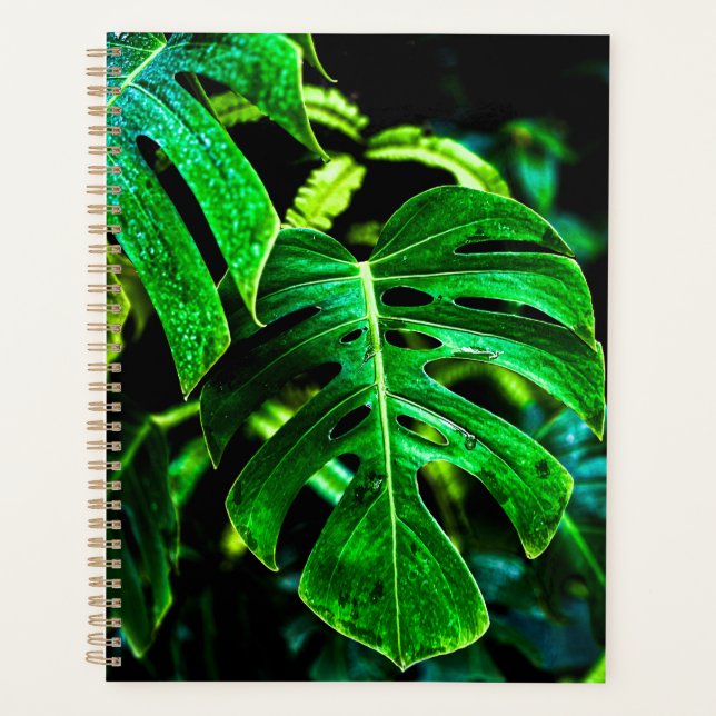 Tropical Monstera Glow – Jungle Leaf Photography Planer (Vorderseite)
