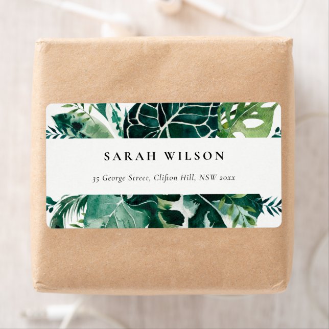 Tropical Monstera Green Foliage Leafy Address Labe (Insitu)