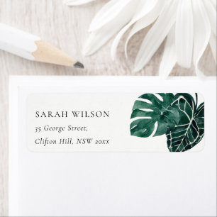 Tropical Monstera Green Foliage Leafy-Adresse