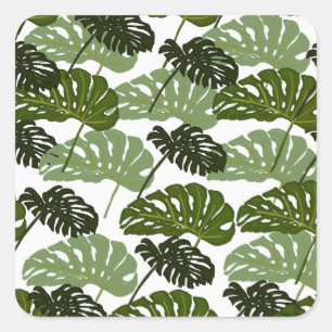 Tropical Monstera Leaf Green Quadratischer Aufkleber