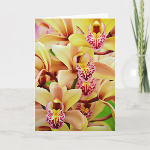 Tropical Orchids Scripture Card Psalm 34:15 Karte