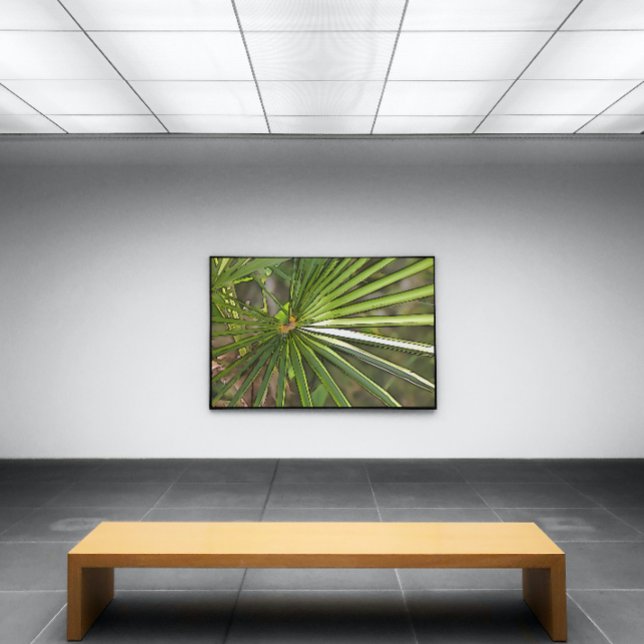 Tropical Palm Black Kontur Art Leinwanddruck (Von Creator hochgeladen)