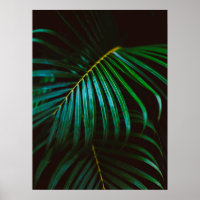 Tropical Palm Leaf Grün entspannen meditative