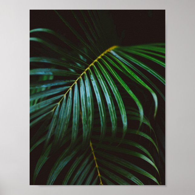Tropical Palm Leaf Grün entspannen meditative Poster (Vorne)