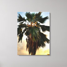 Tropical Palm Sunset - Stretched Canvas Print
