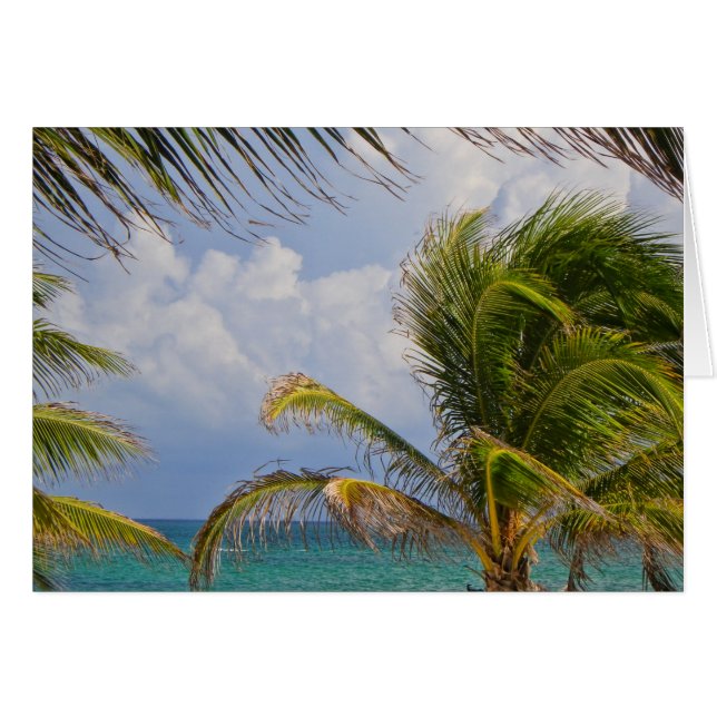 Tropical Palm Tree Gerahmt (Vorderseite (Horizontal))