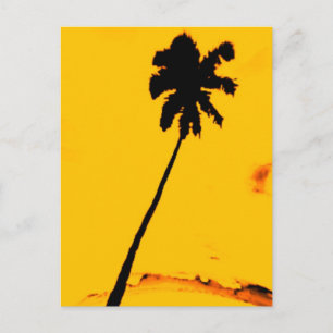 Tropical Palm Tree Postkarte