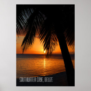 Tropical Palm Tree Sunset in Belize Poster