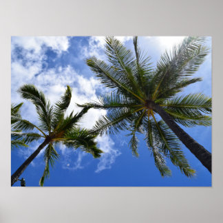 Tropical Palm Trees Foto Poster