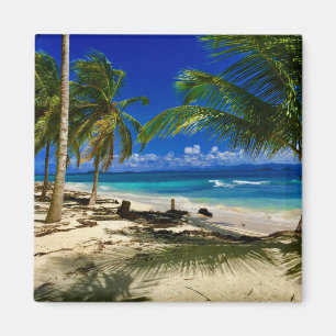 Tropical Palms San Blas Panama Sandy Beach Insel Magnet